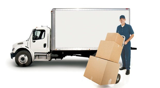 Platinum Movers logo
