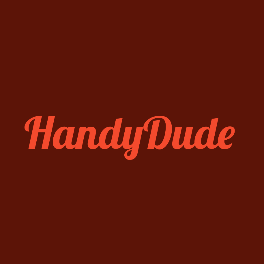 Avatar for HandyDude 