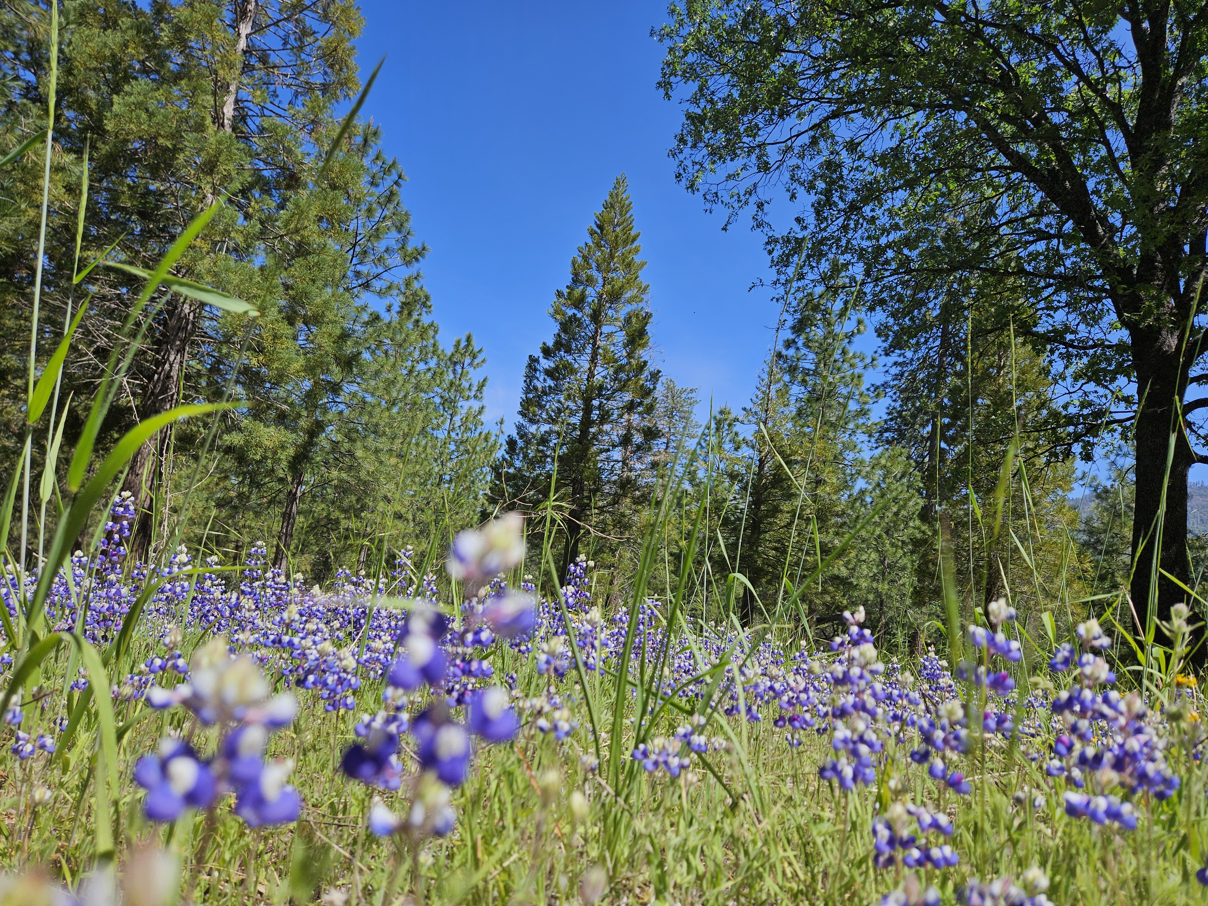 Avatar for WinslowHeavyequipment