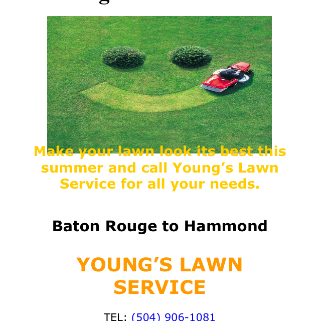 Avatar for Young's Lawn Care