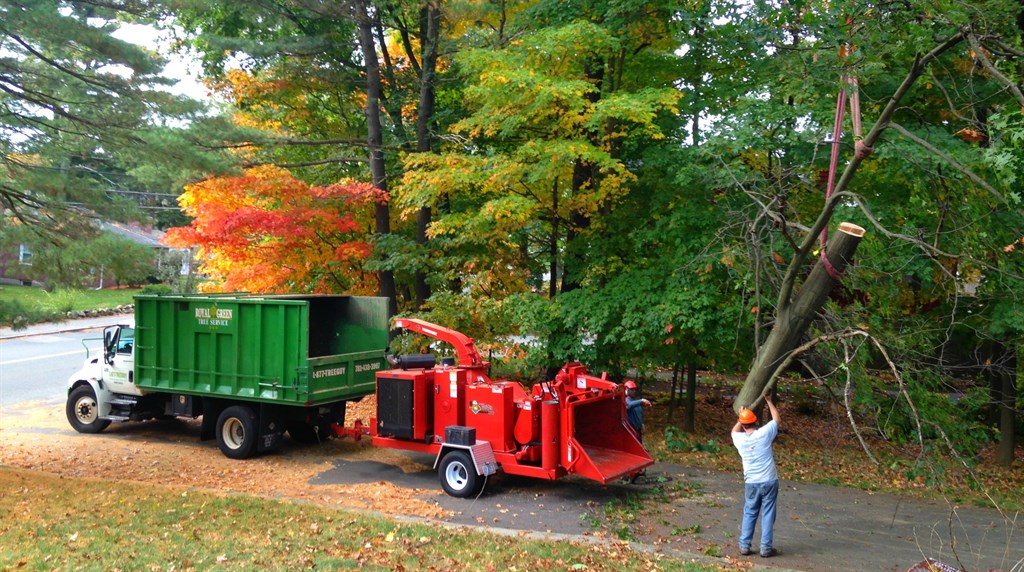 Royal Green Tree Service Reviews Kensington, NH Angi