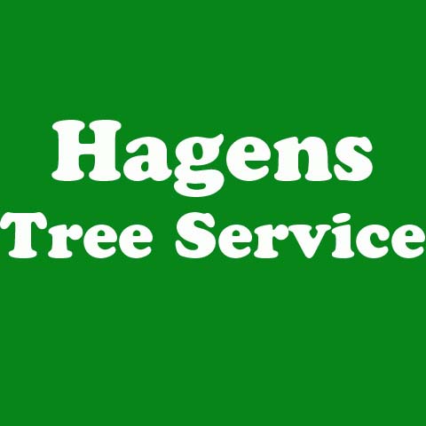 Avatar for Hagens Tree Service