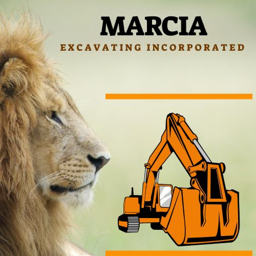 Avatar for Marcia Excavating Incorporated