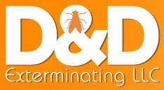 Avatar for D&D Exterminator