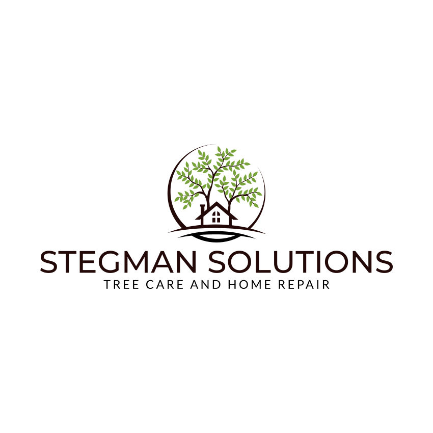 Avatar for Stegman Solutions