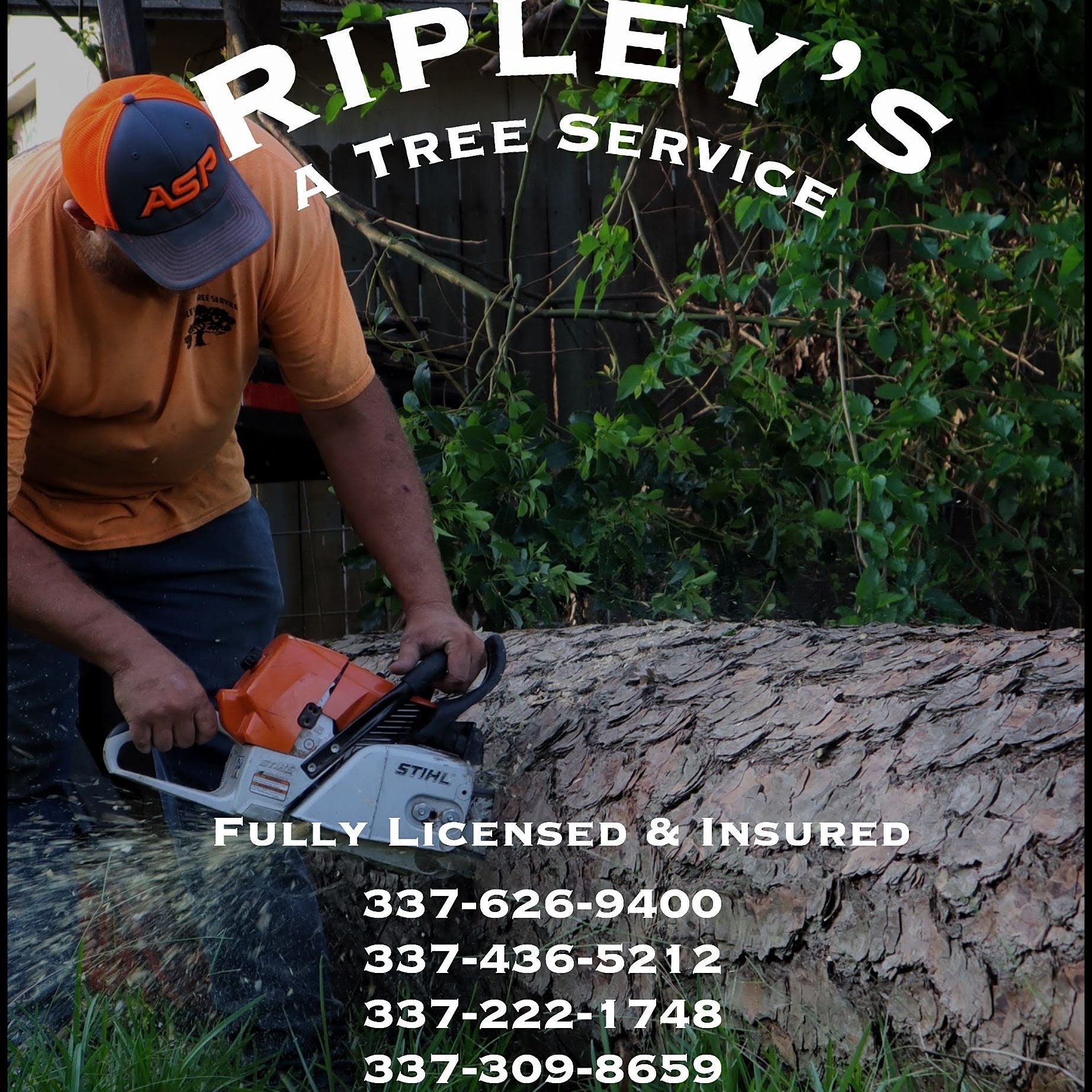 Avatar for Ripleys Tree Service 