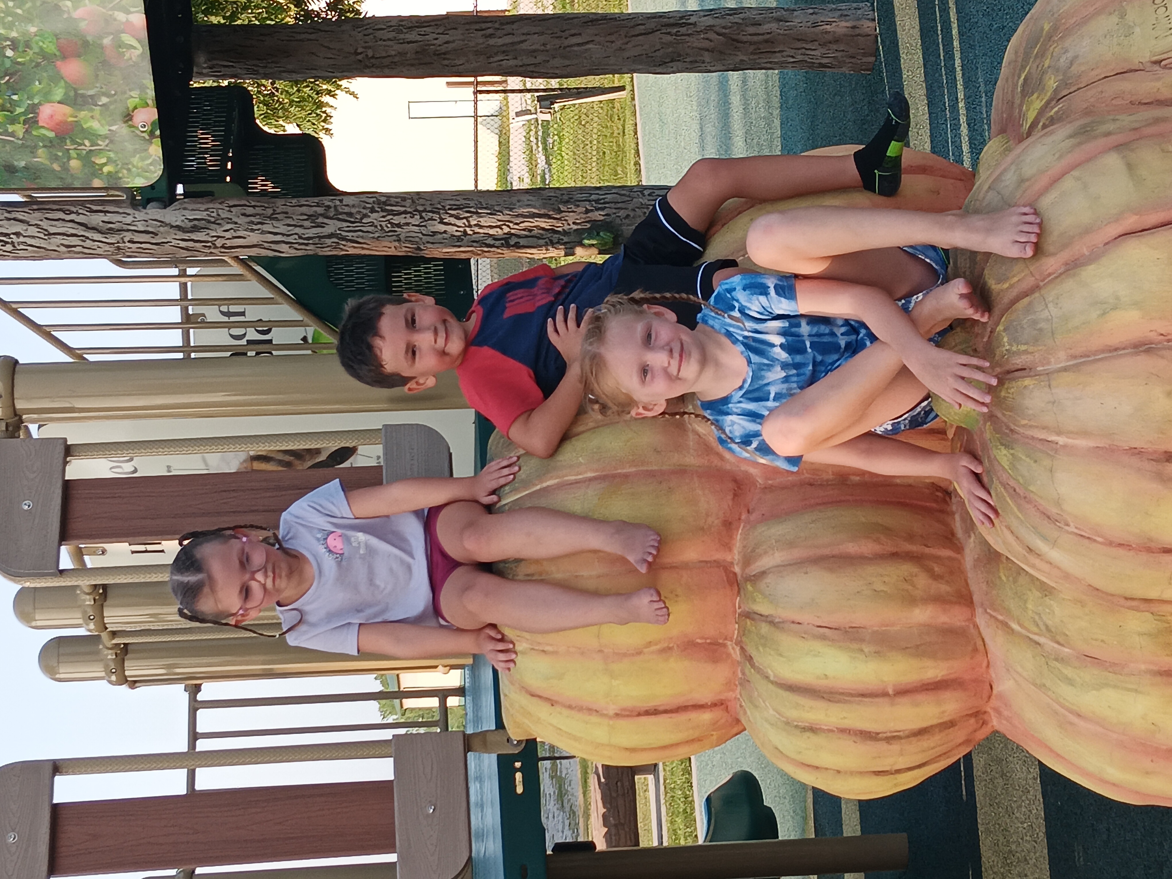 Avatar for S and j landscaping