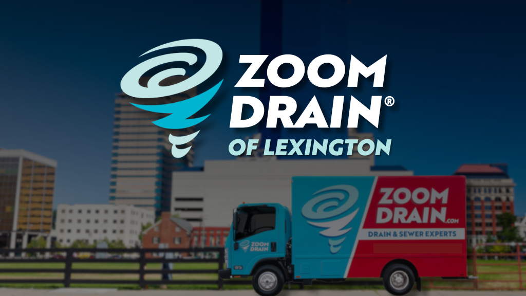 Avatar for Zoom Drain