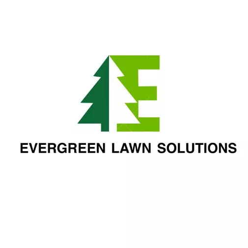 Avatar for evergreen lawn solutions