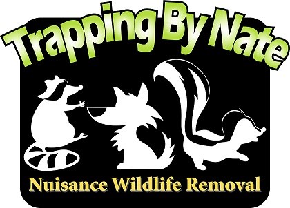 Avatar for Trapping By Nate