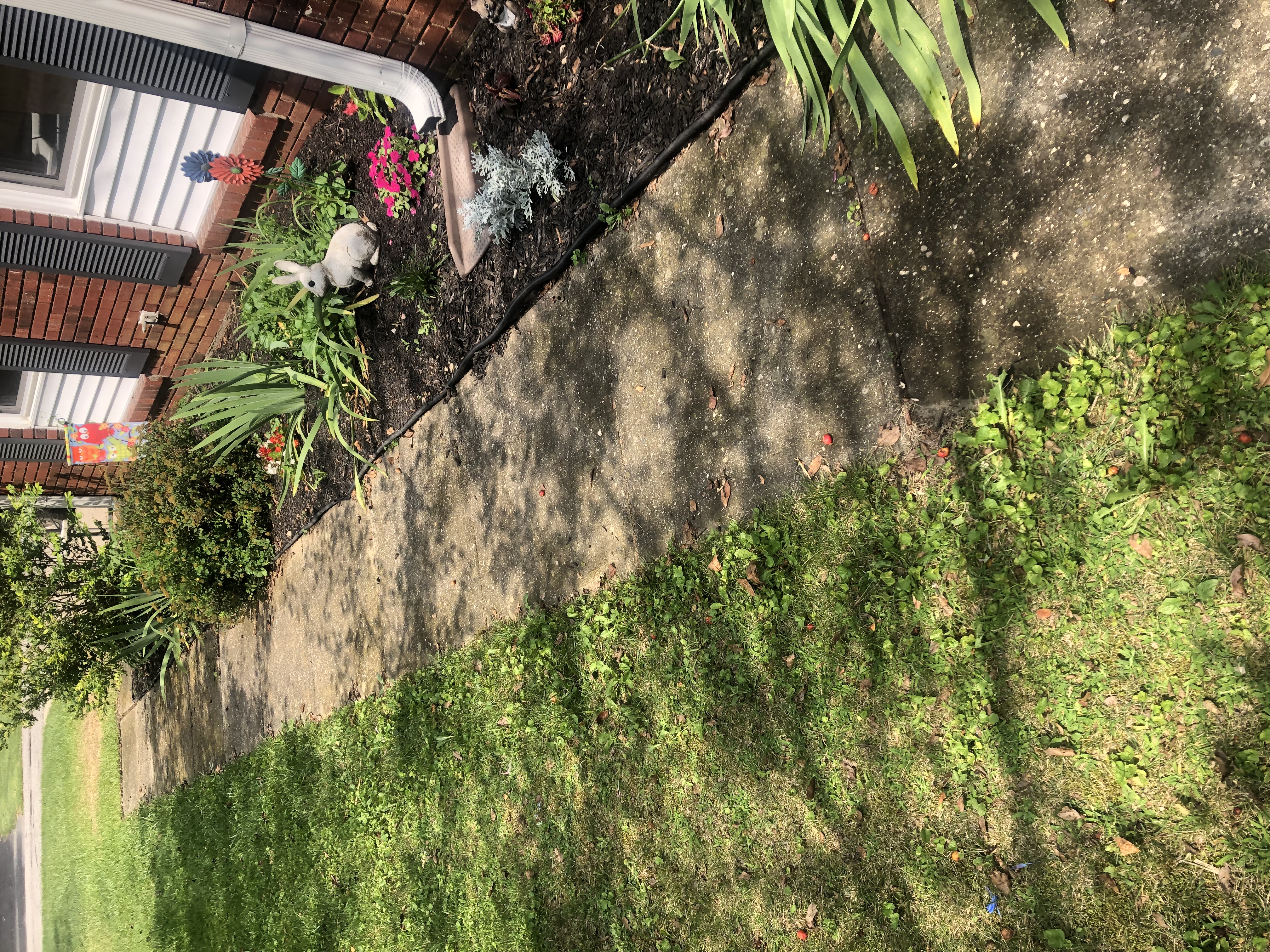 Avatar for Harper power washing 