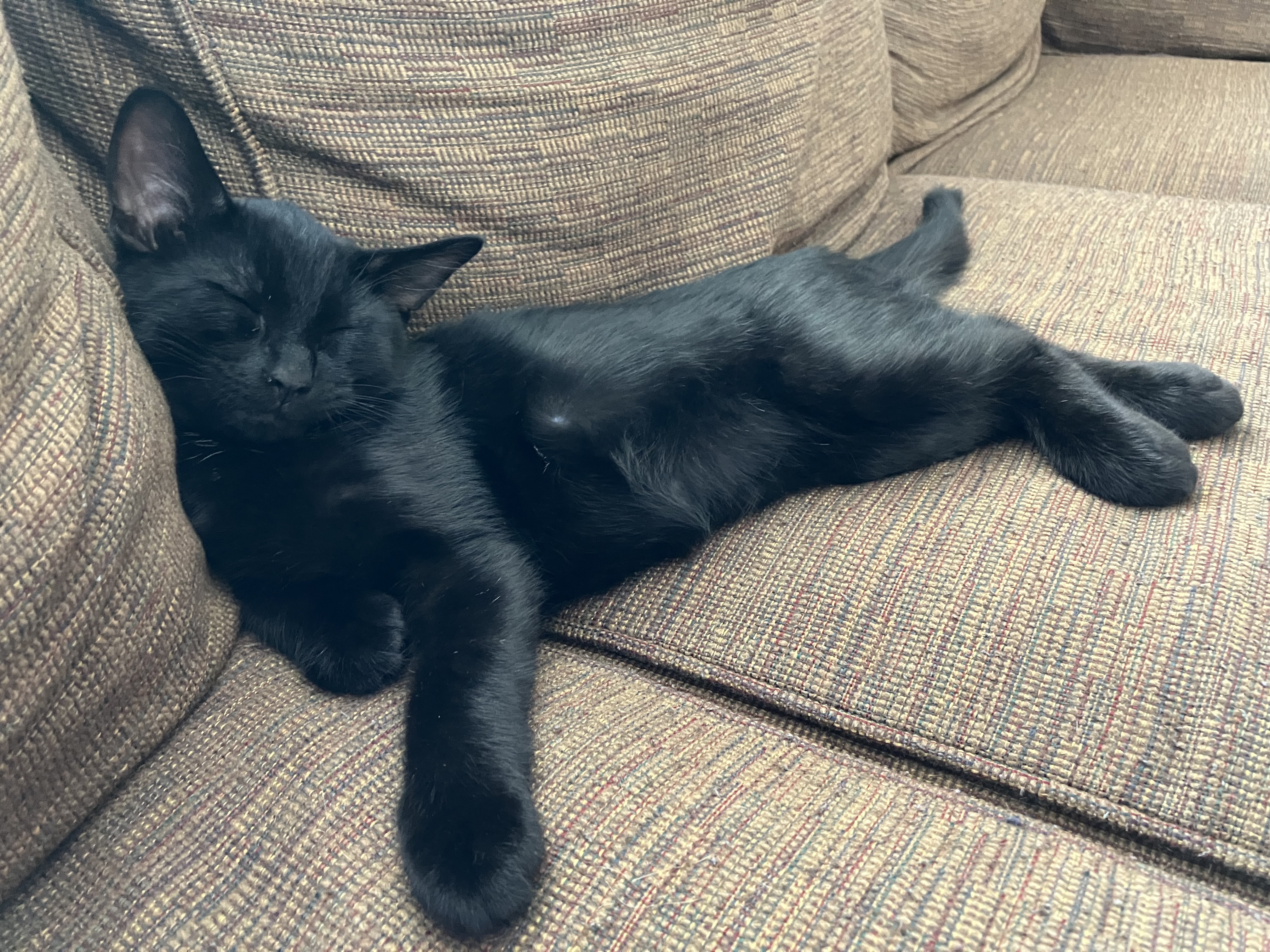 Avatar for McNally Inc.