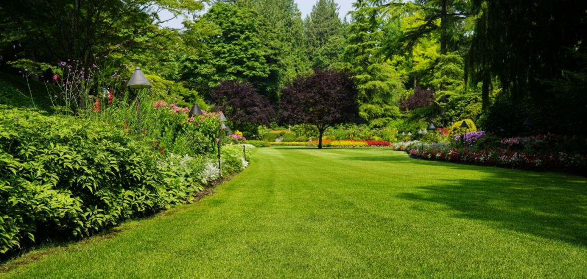 Avatar for Kevin kuts