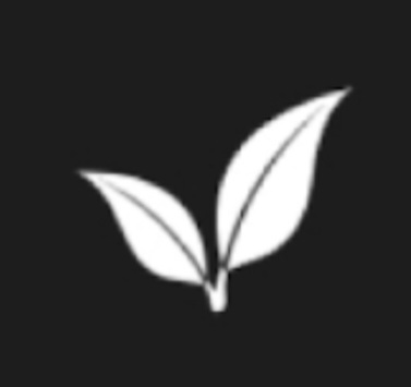 Avatar for Verde Home Cleaning Services