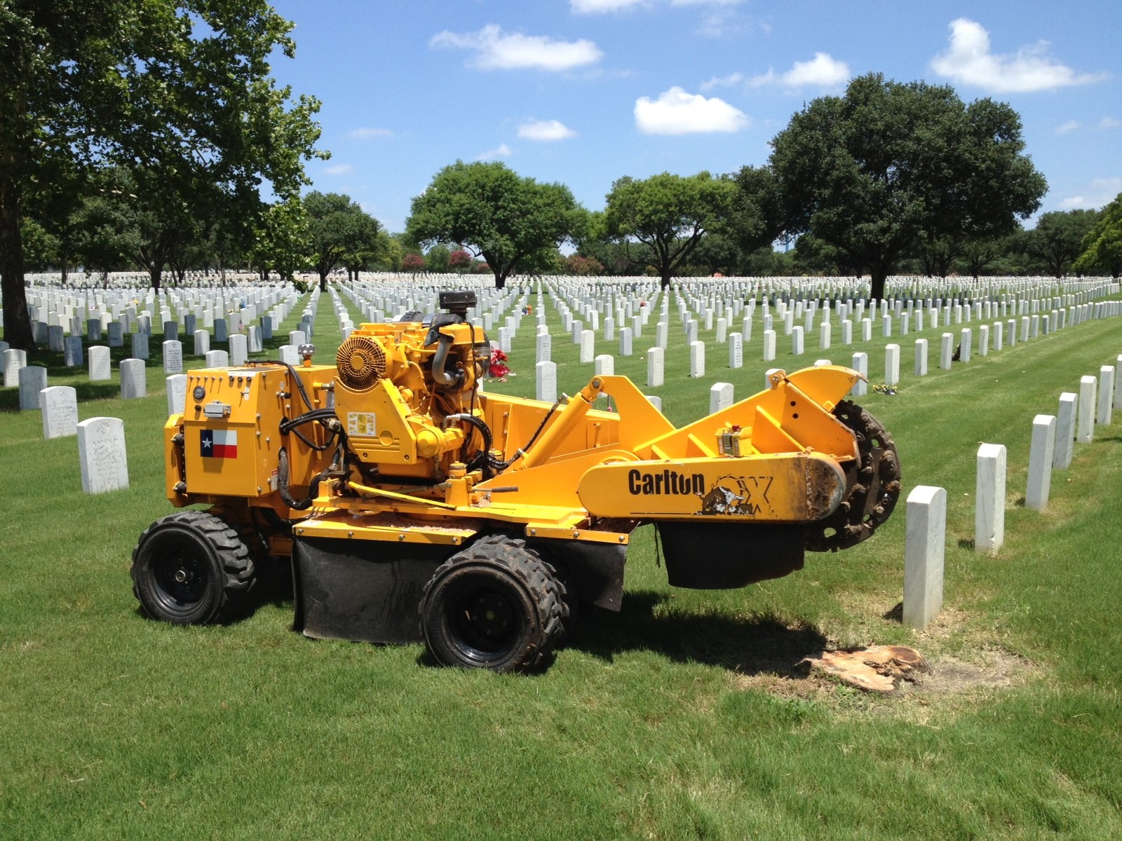 Avatar for The Stump Guy