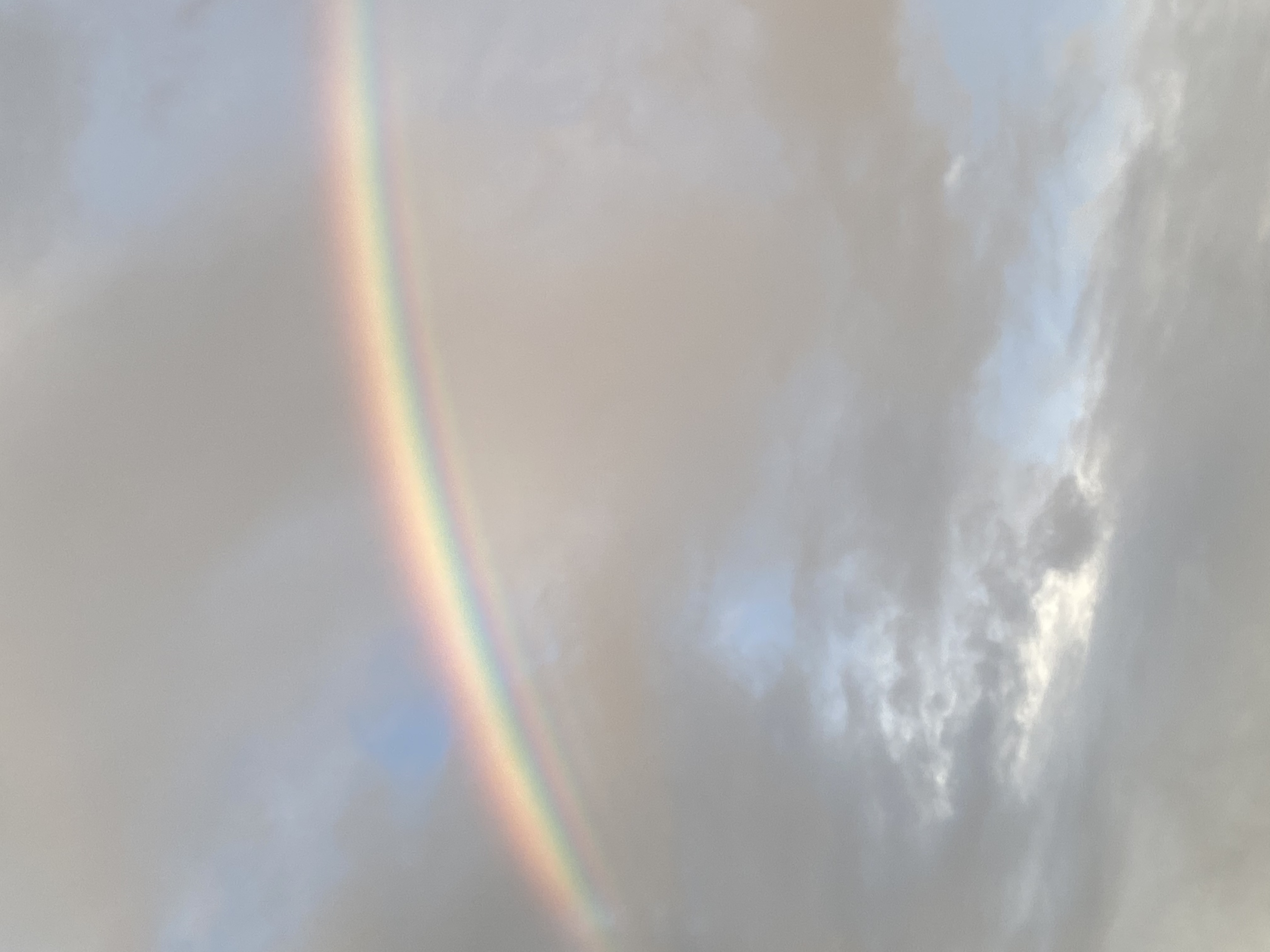 Avatar for Vivid visions 