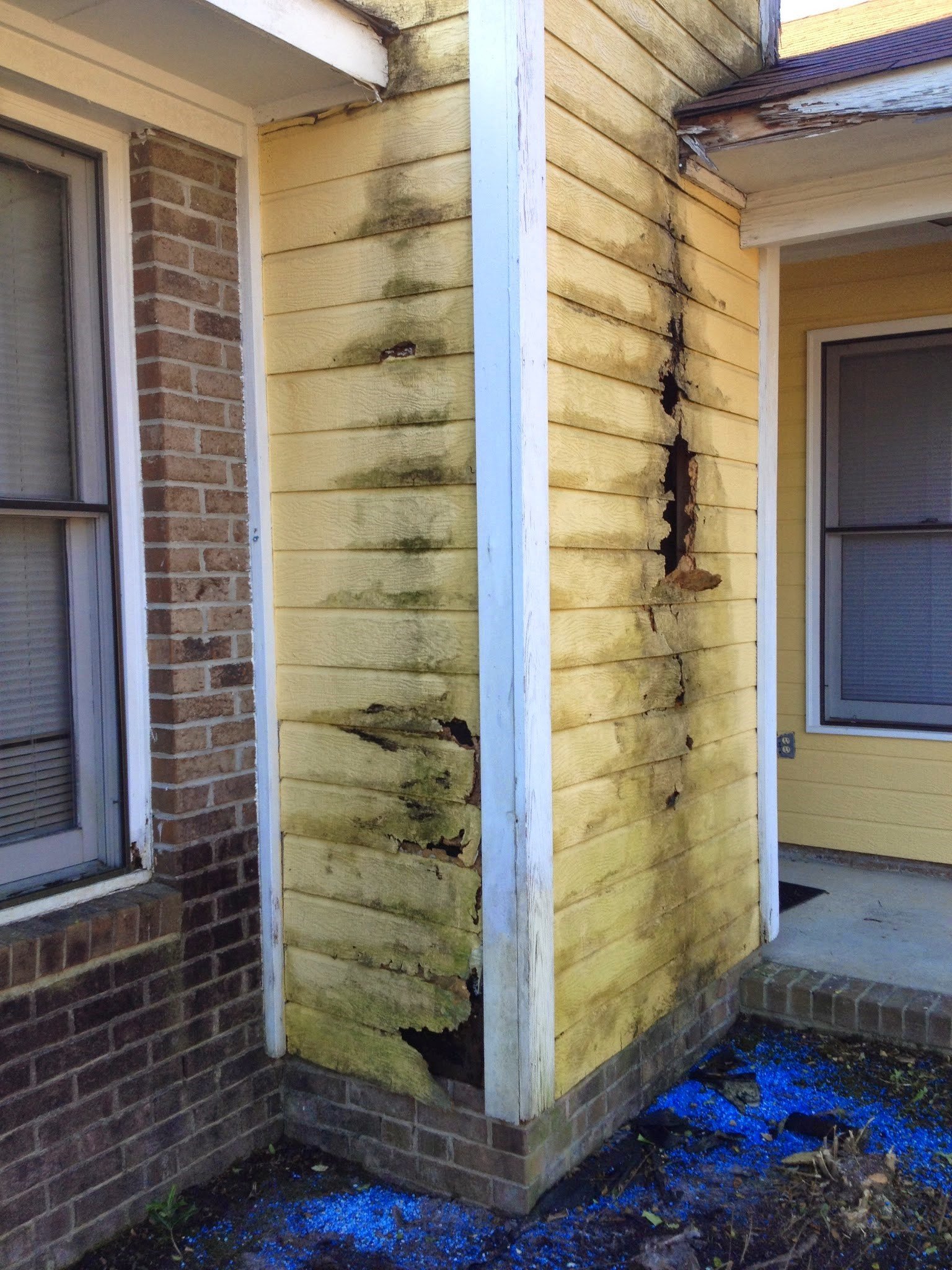 Avatar for Jireh Painting