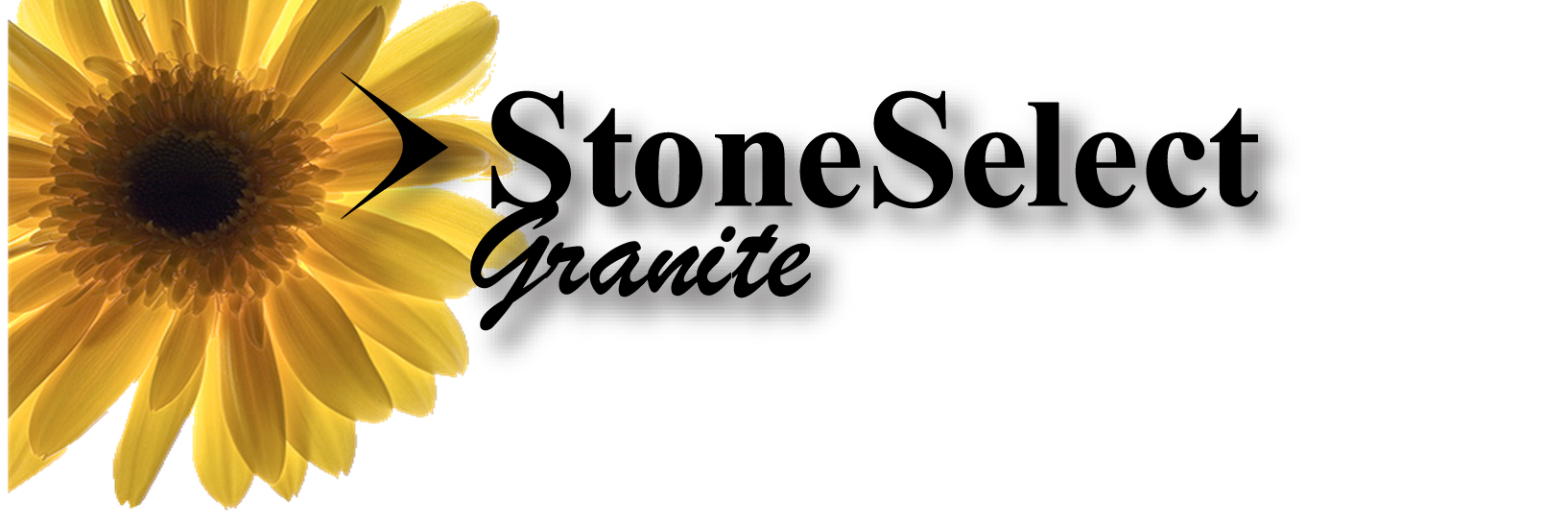 Avatar for APEX SURFACES INC