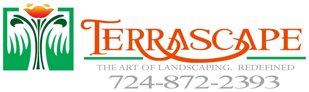 Avatar for Terrascape