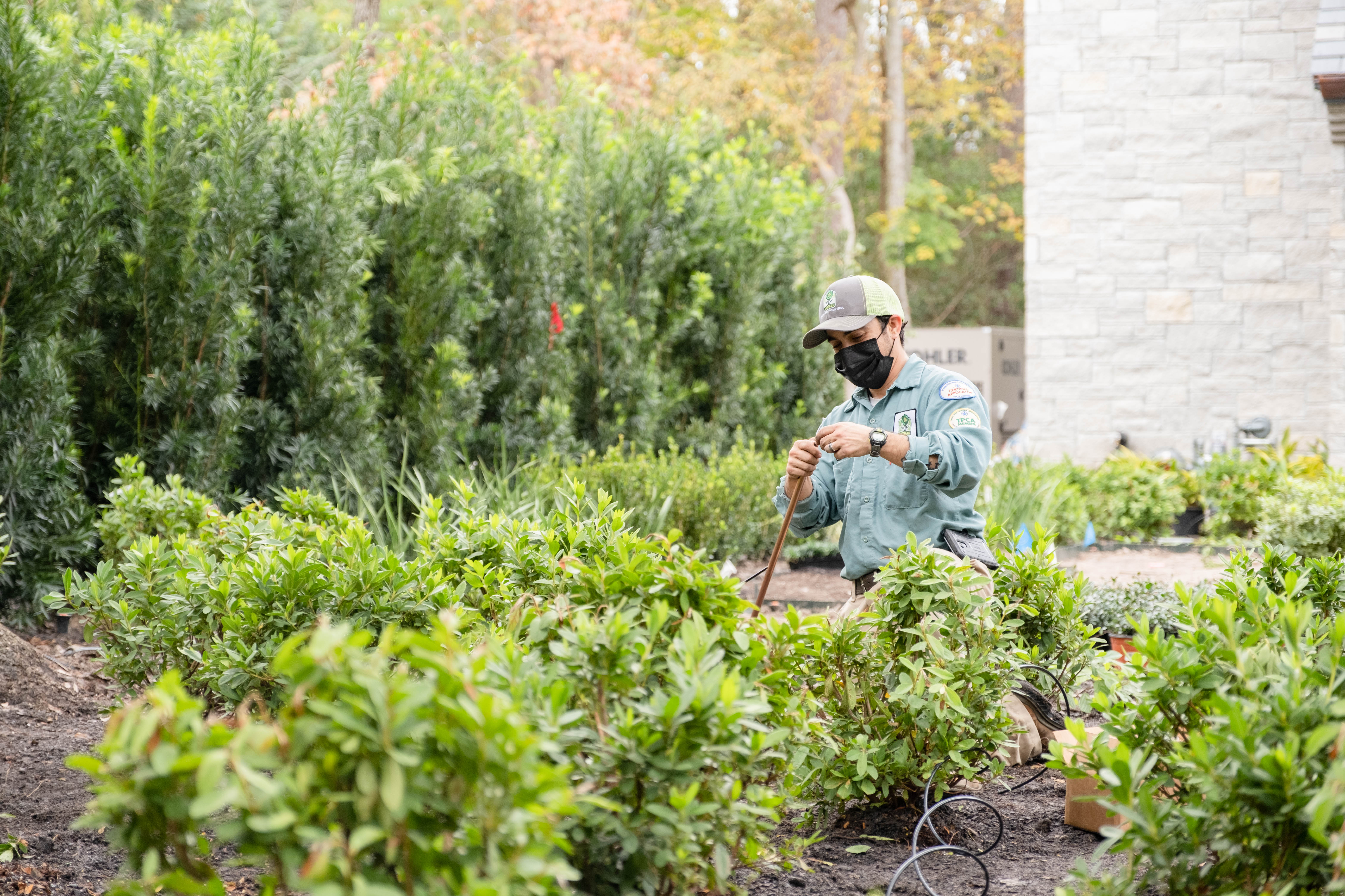 Natran Green Pest Control Reviews Houston, TX Angi