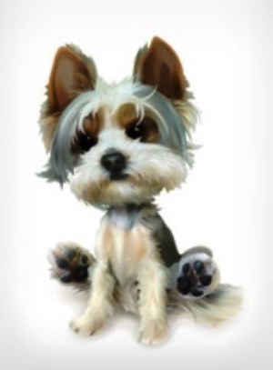 Logo for Blue Ribbon Pet Grooming