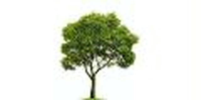 Avatar for Green Mountain Tree & Landscaping Service