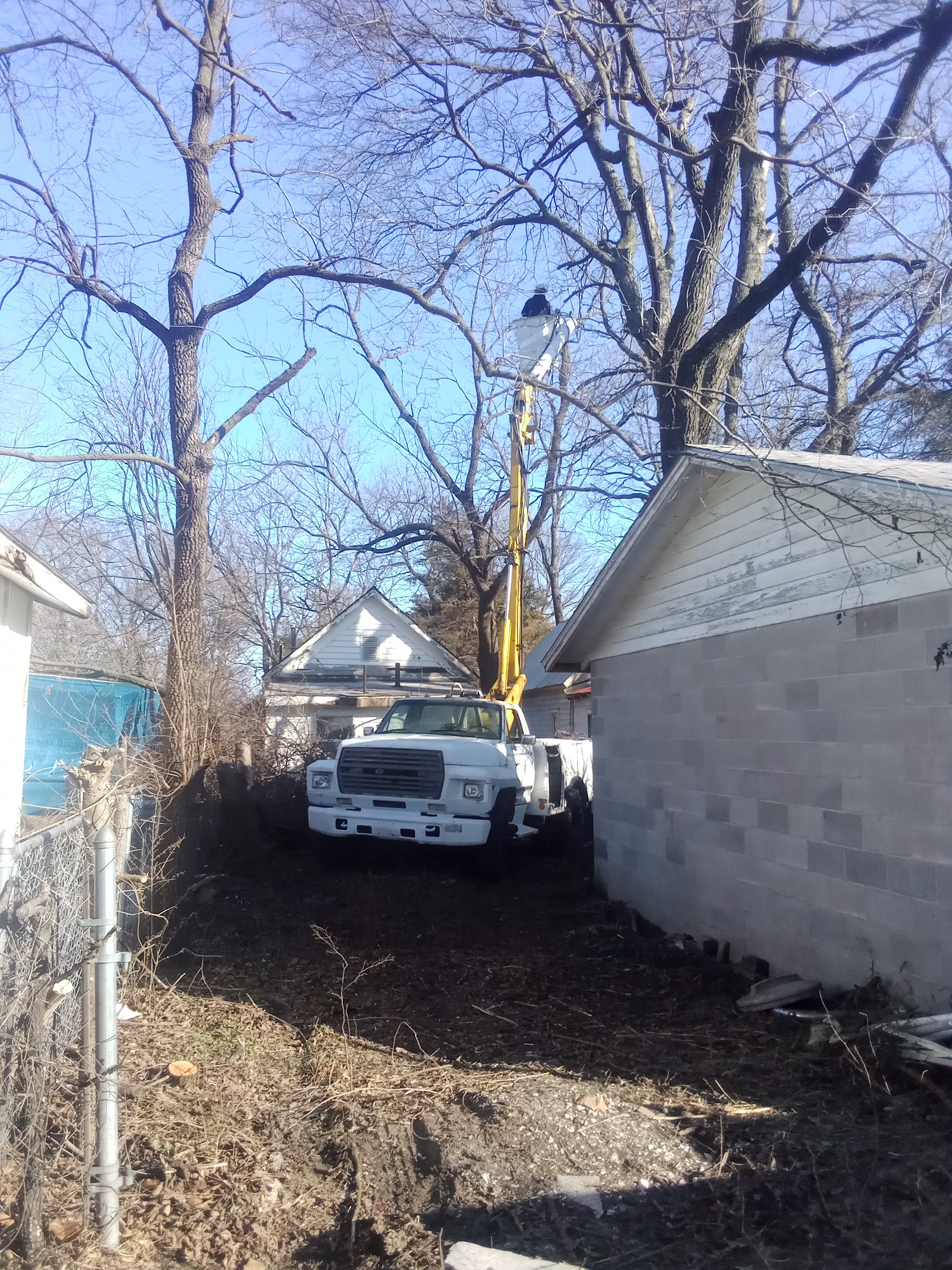 Avatar for Smiths tree service