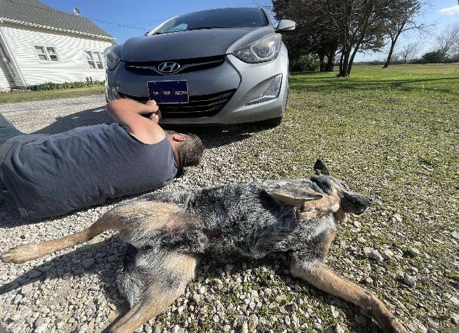 Avatar for K-5 Ranch Handyman