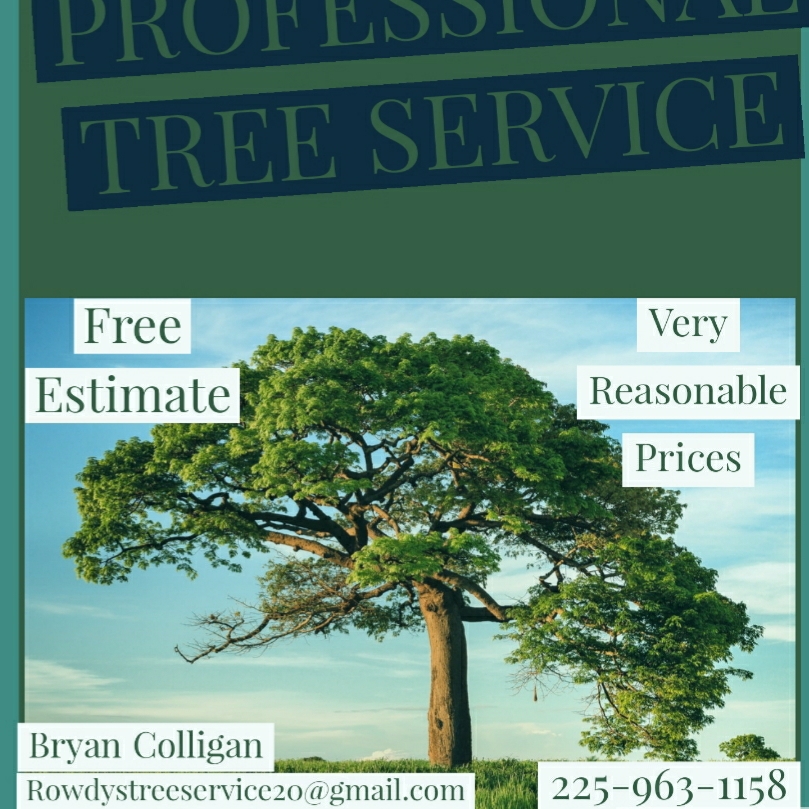 Avatar for ROWDY'S PROFESSIONAL TREE SERVICE