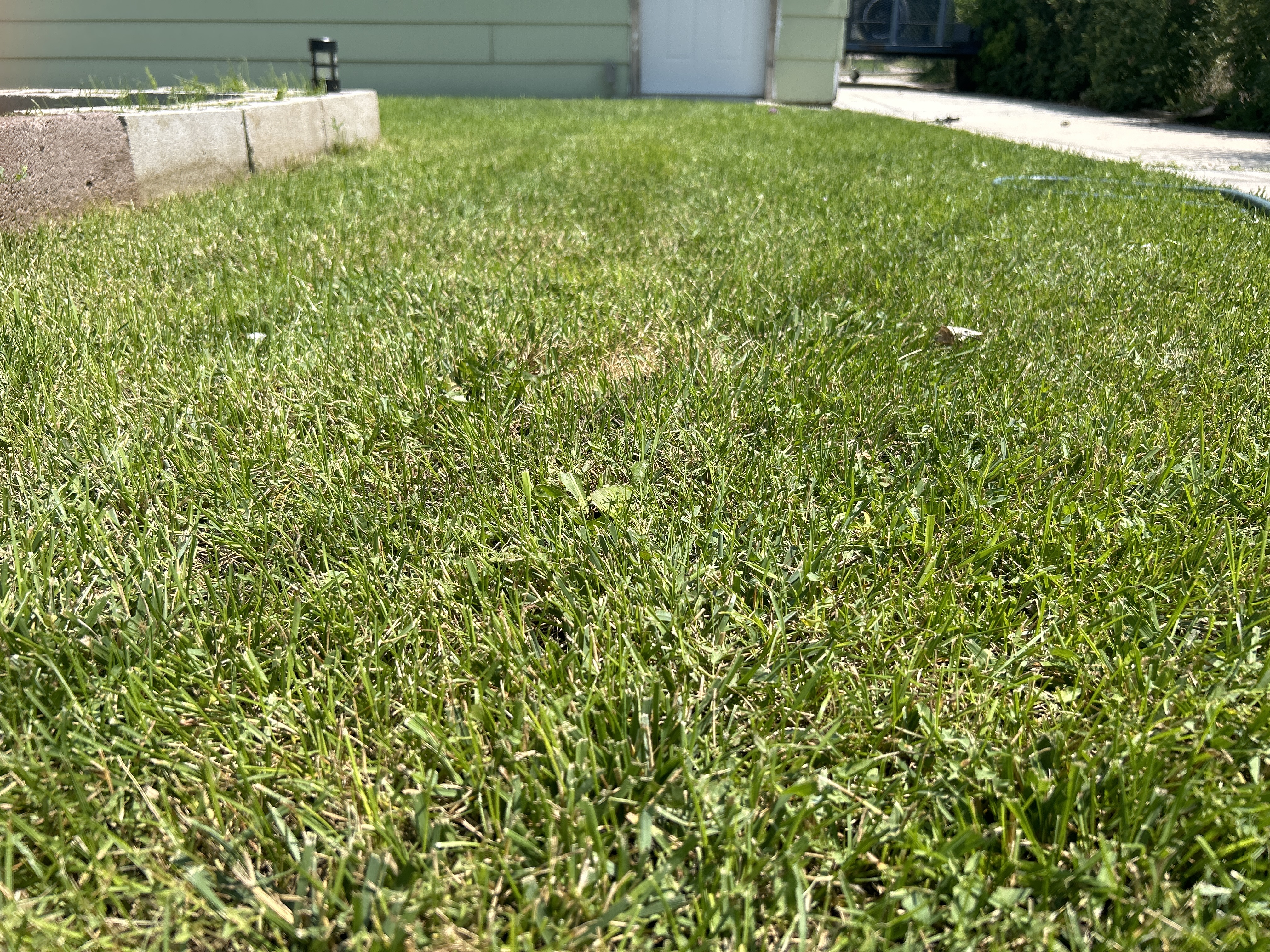 Avatar for MV lawncare