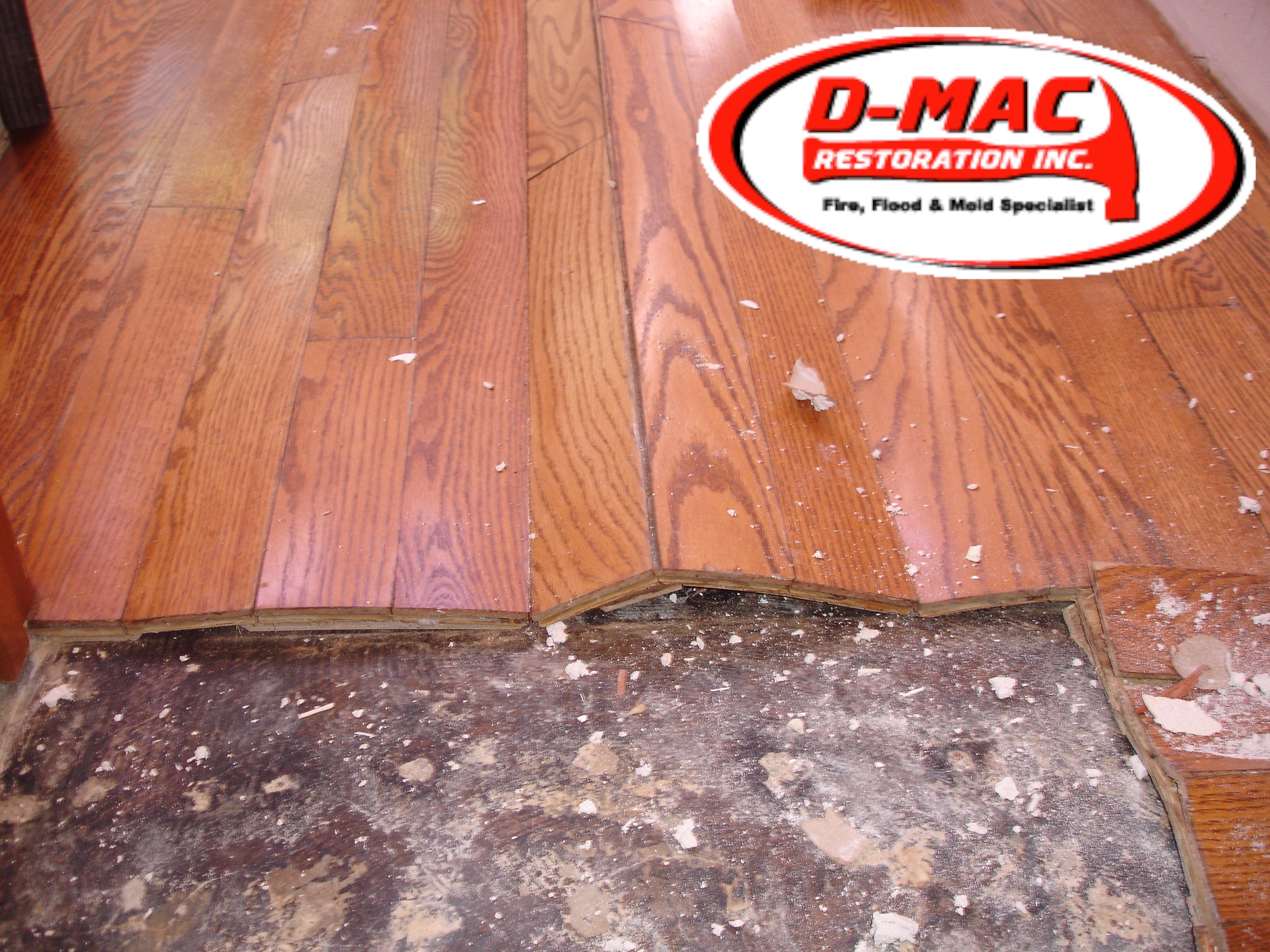 Avatar for D-Mac Restoration Inc
