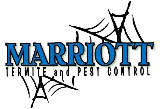Avatar for Marriott Termite and Pest Control