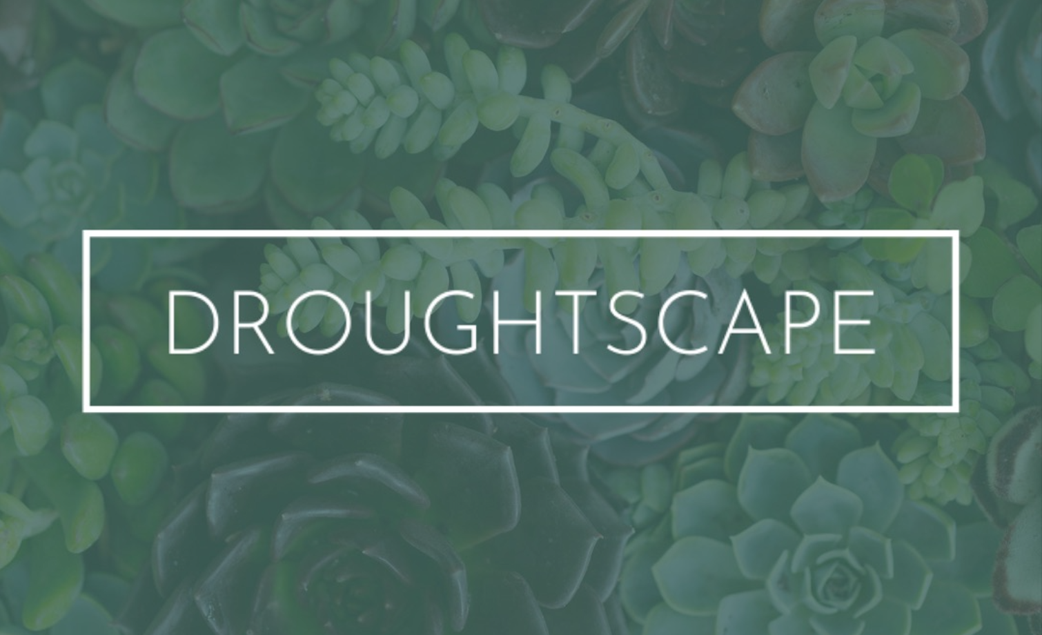 Droughtscape logo