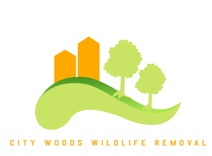 Avatar for City Woods Wildlife Removal