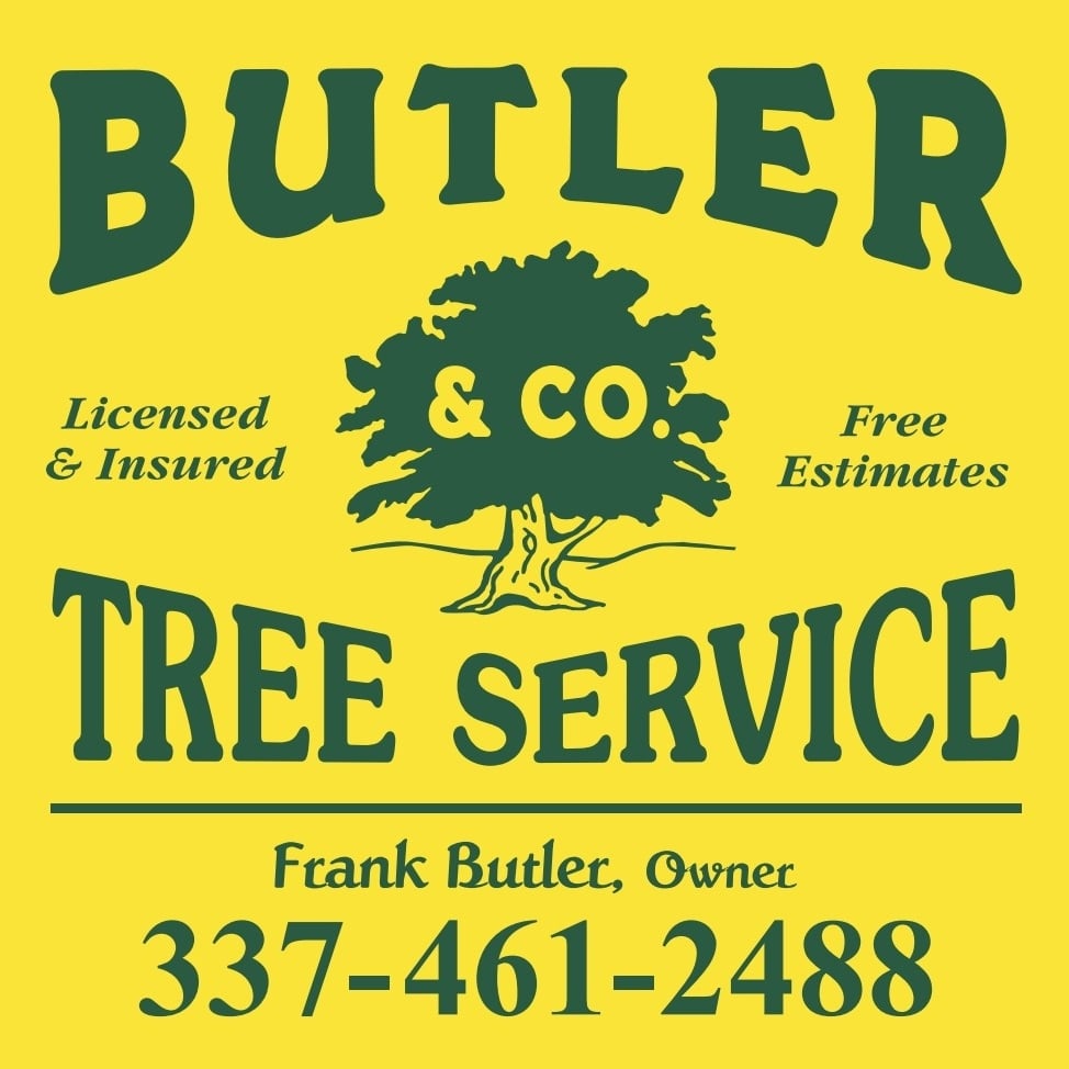 Avatar for Butler And Co Tree Service And Storm Recovery Inc