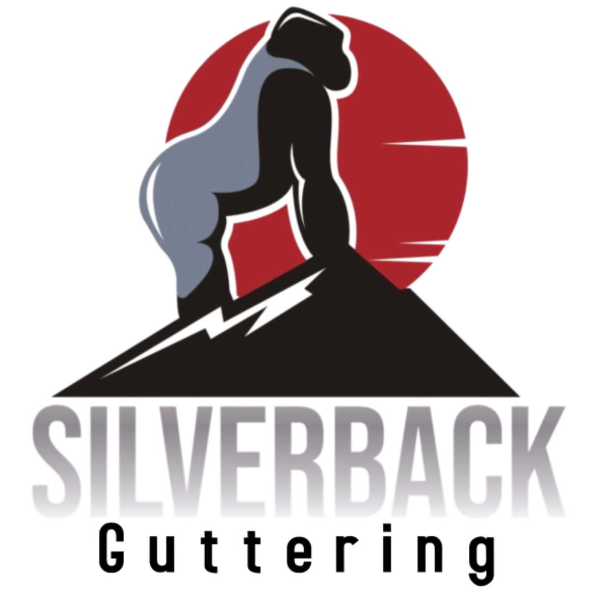 Avatar for Silverback Guttering
