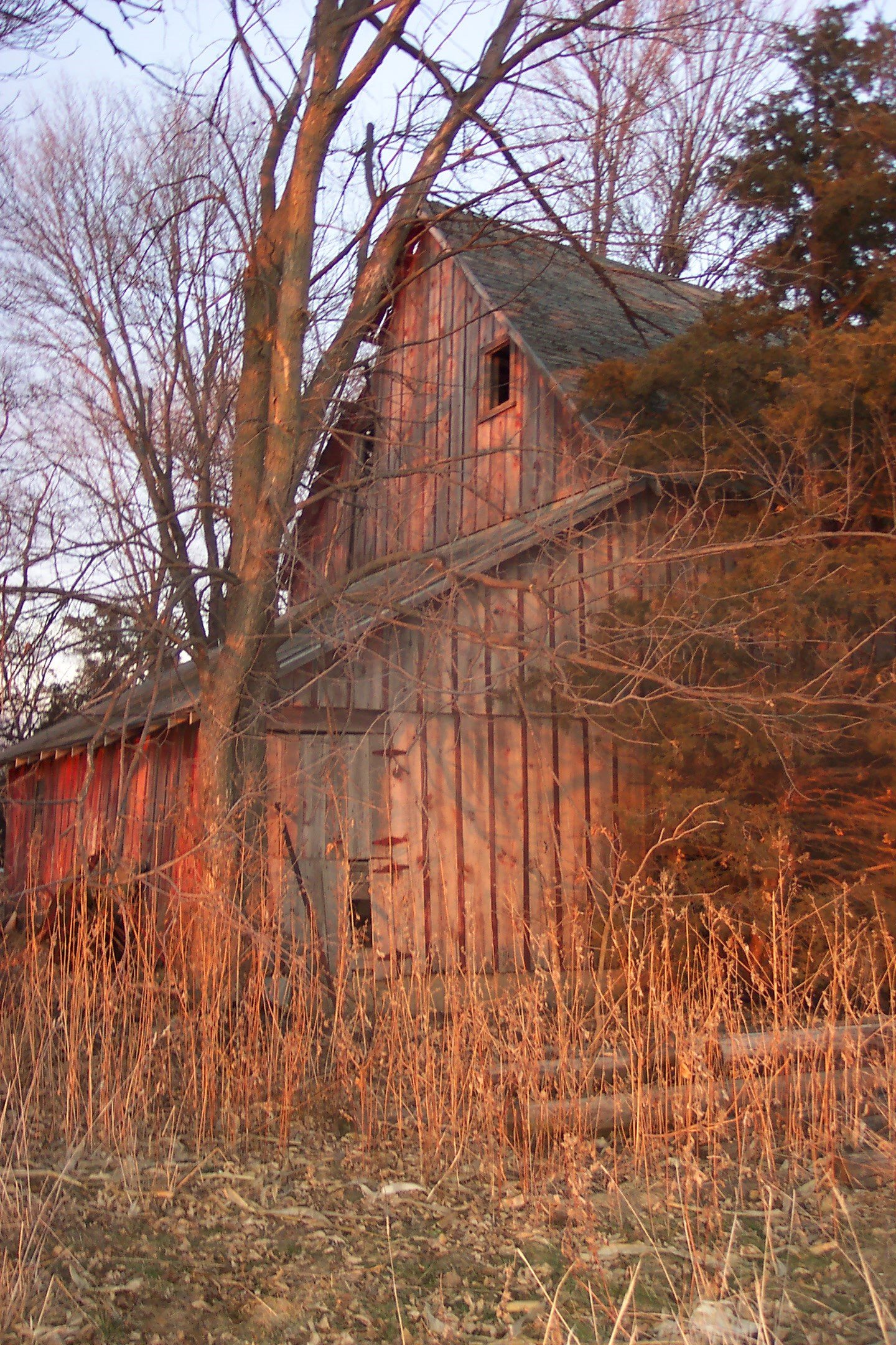 Avatar for Wooden Ways