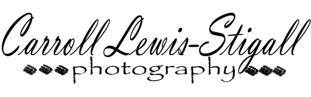 Carroll Lewis-Stigall Photography logo