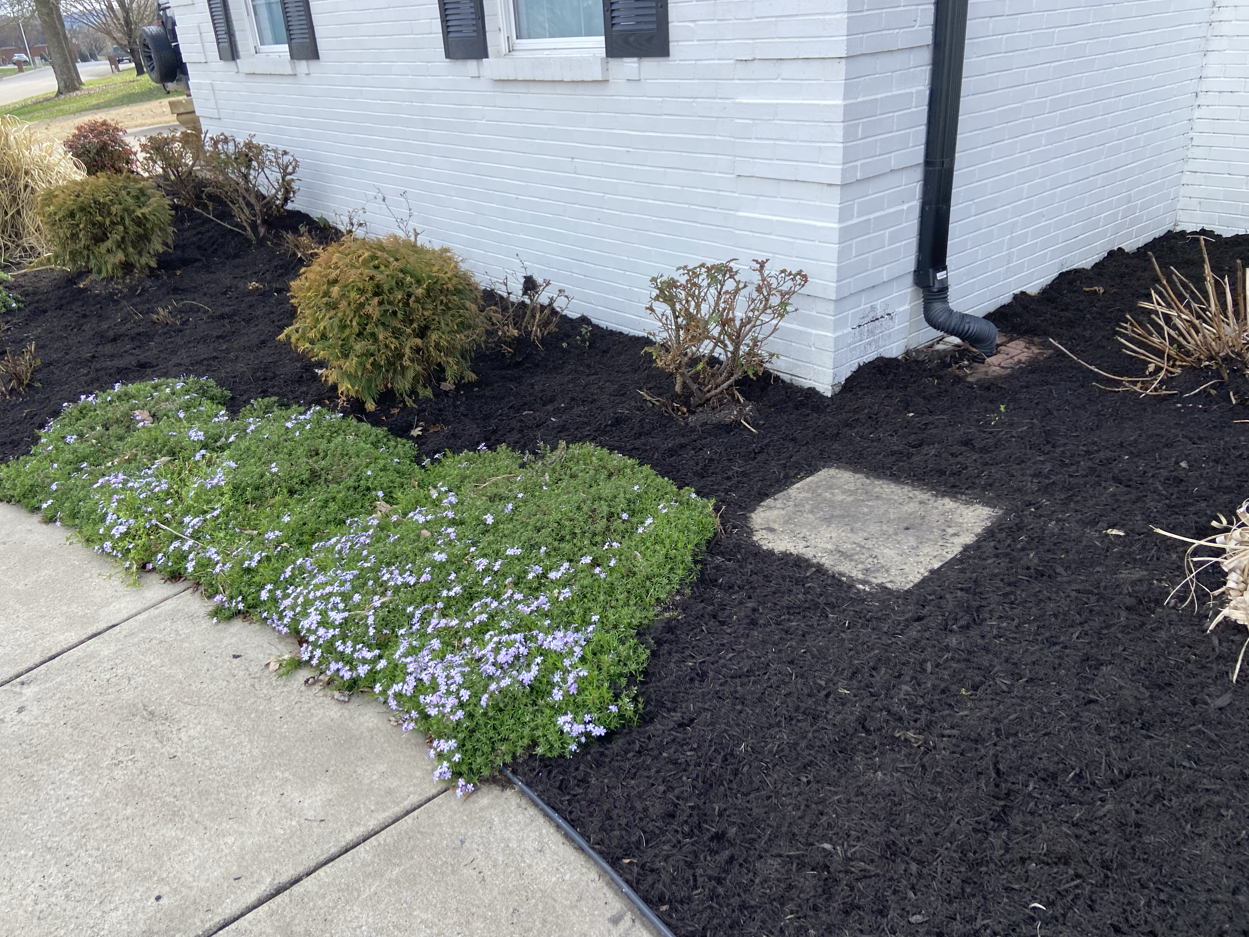 Avatar for JMJ Landscaping