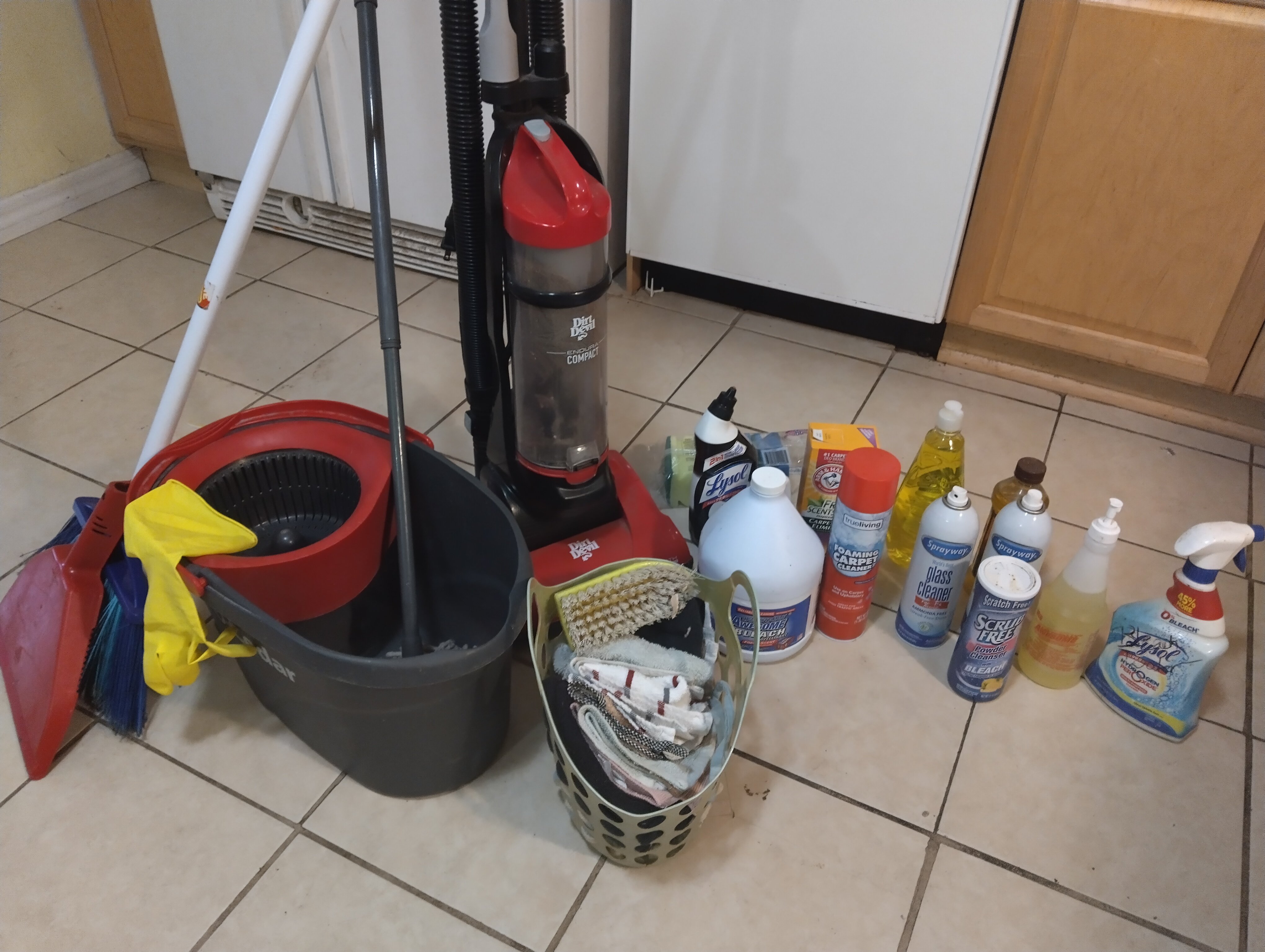 Avatar for franchettilex@gmail.com