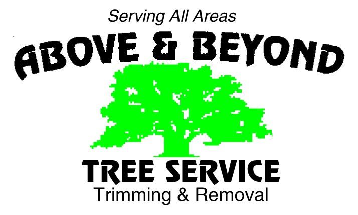 Avatar for Above & Beyond Tree Service