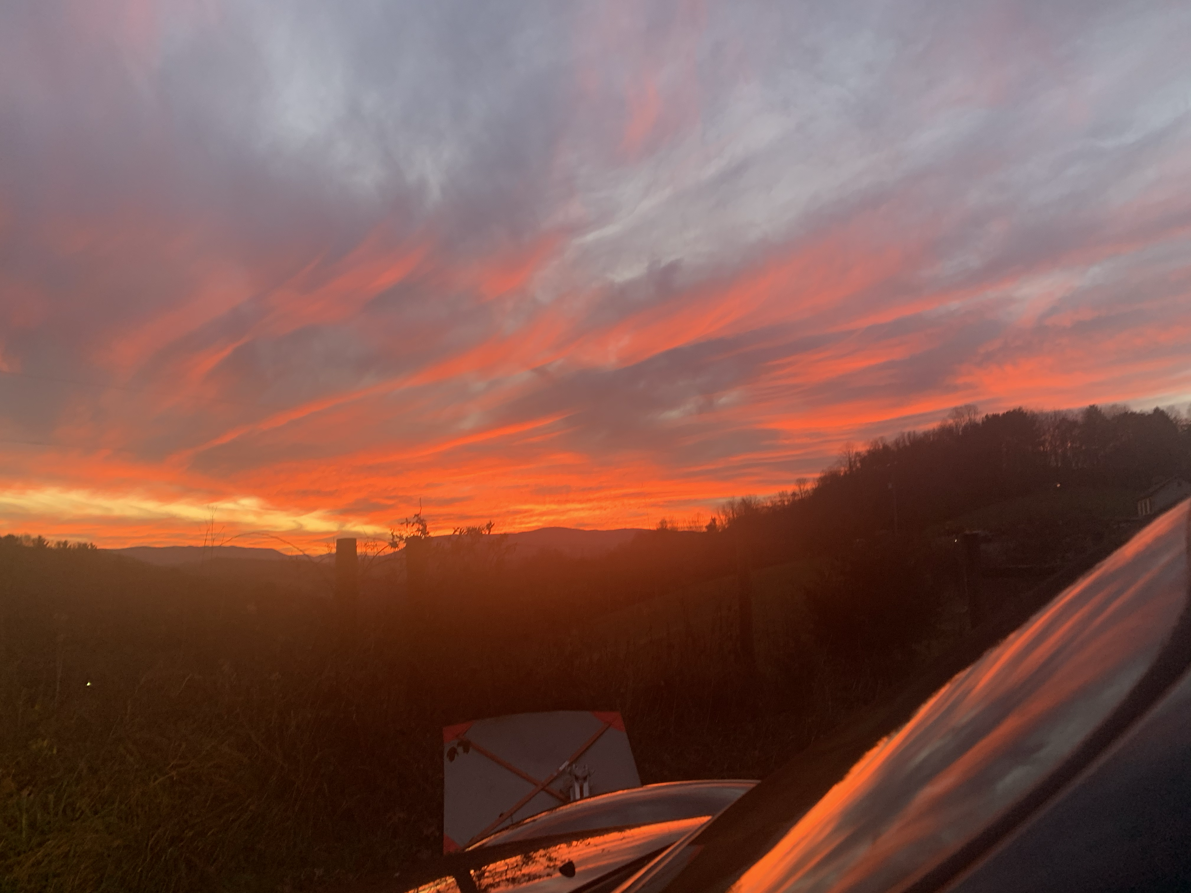 Avatar for B cleaning