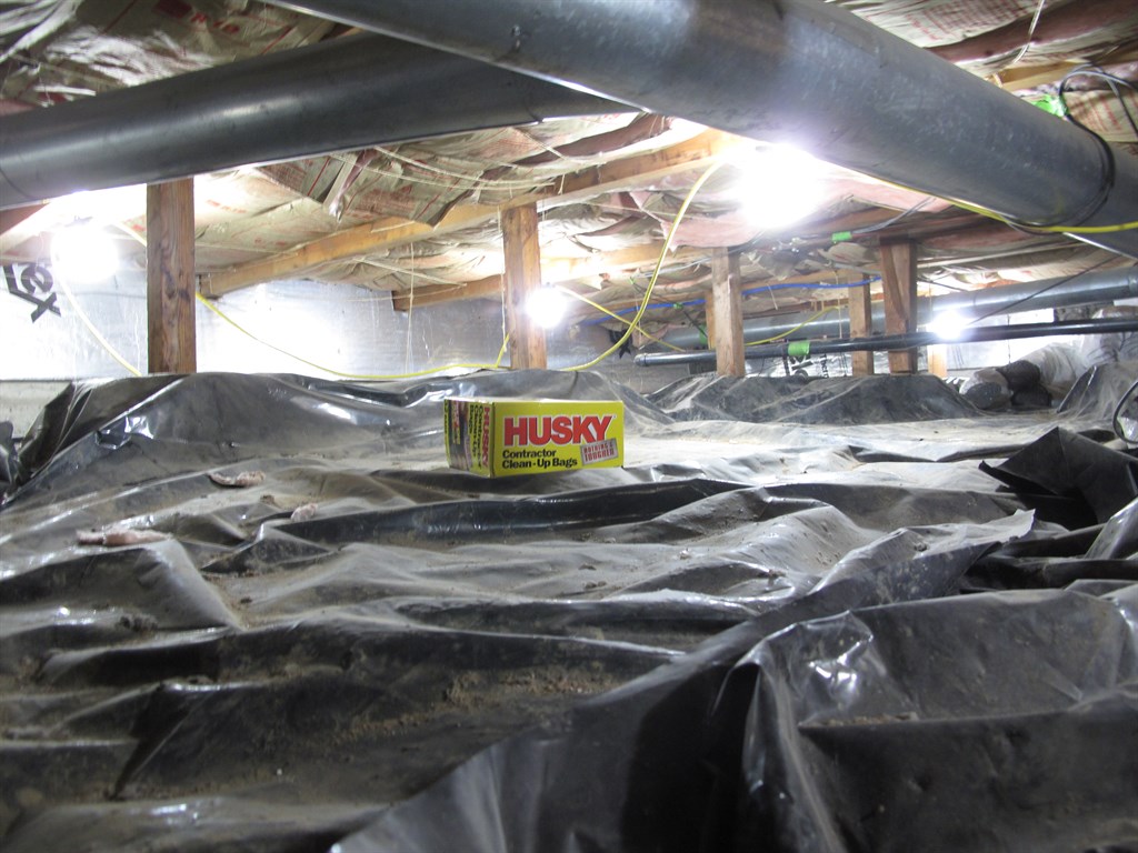 Crawlspace Repair