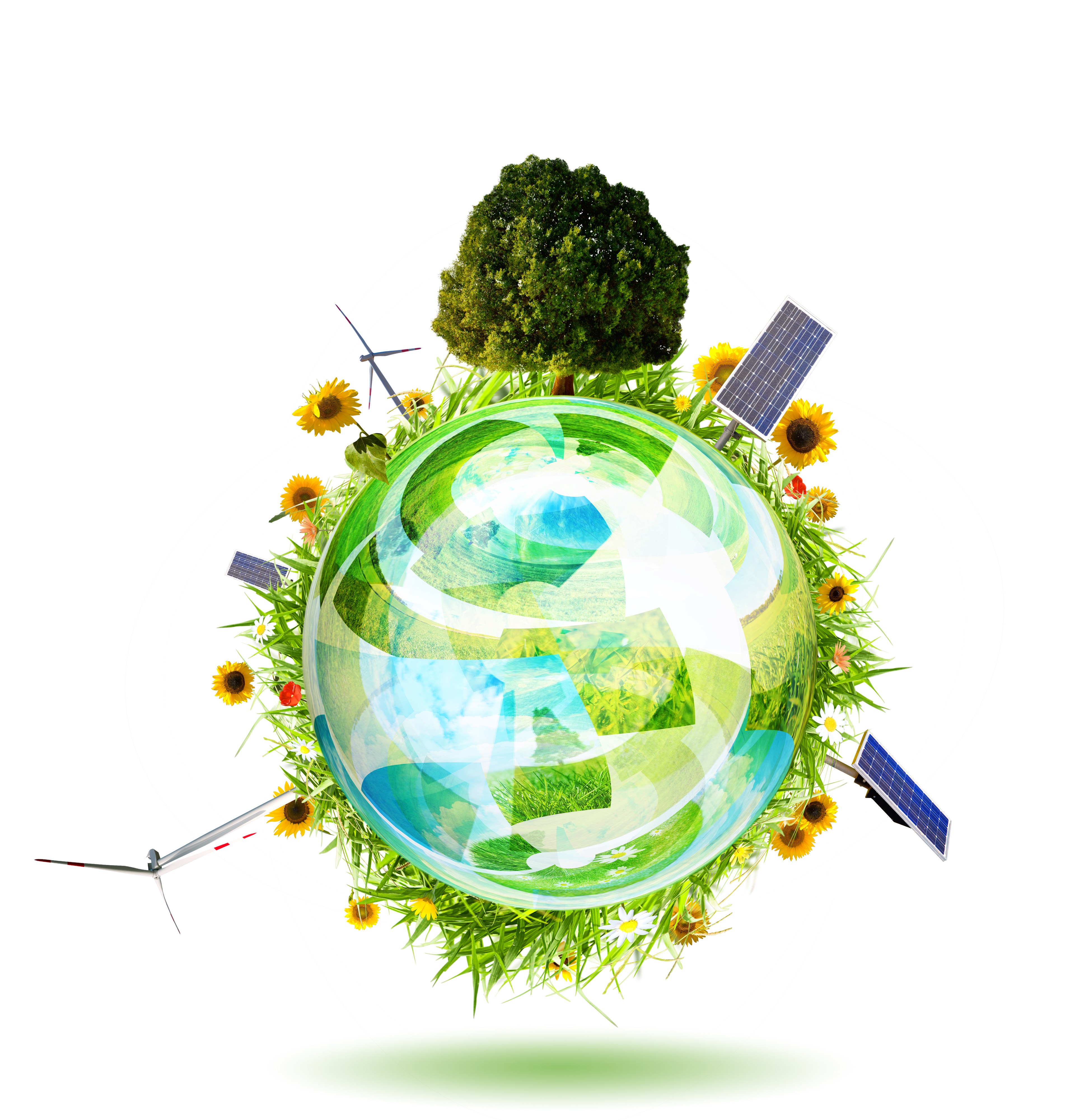 Avatar for A&A Development Inc.