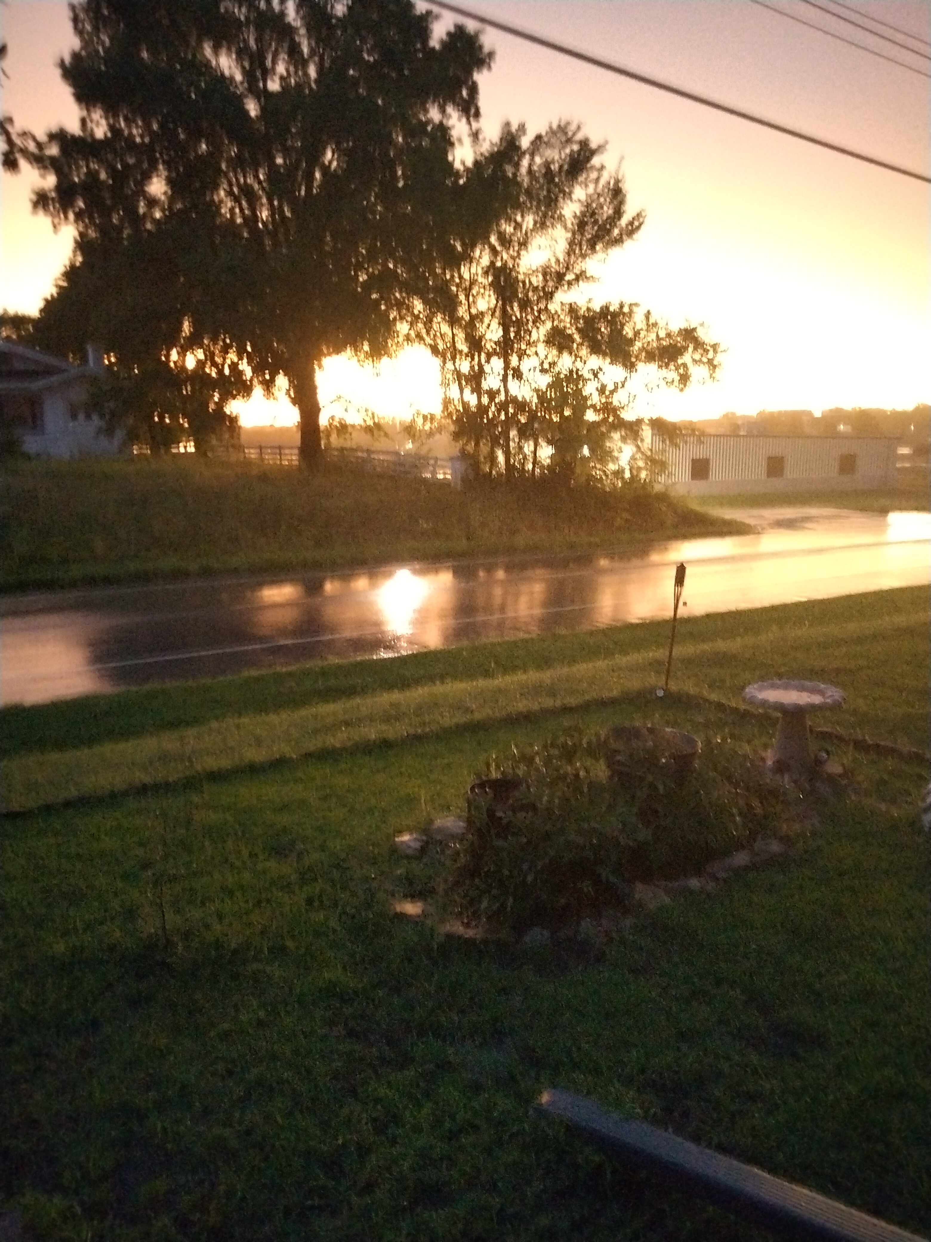 Avatar for House M.D.