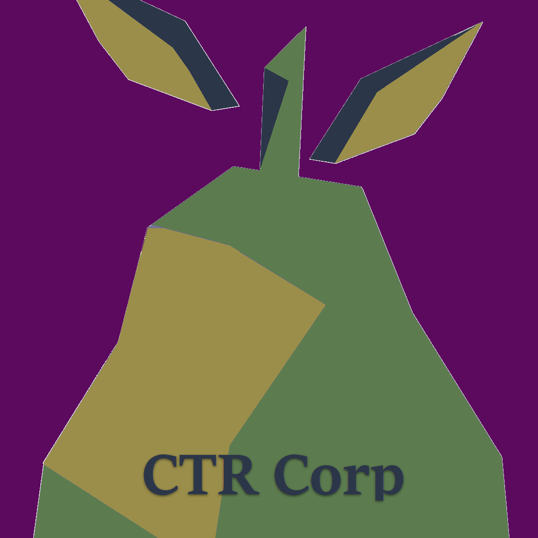 Avatar for CTR Corp