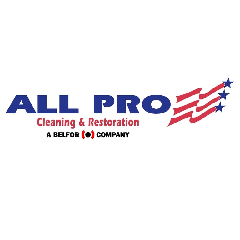 Avatar for ALL PRO CLEANING & RESTORATION SERVICES