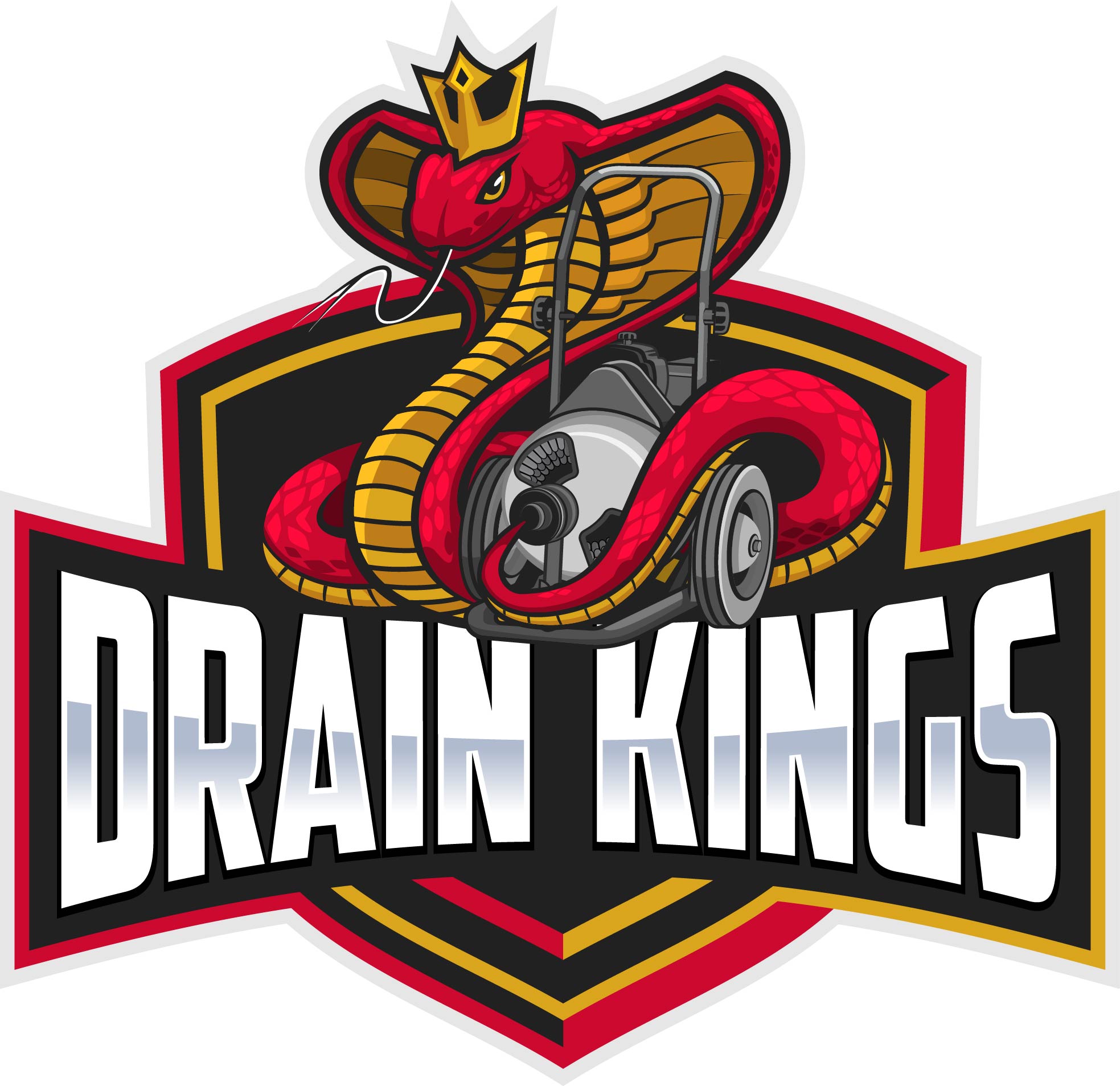 Avatar for Drain Kings Co. 