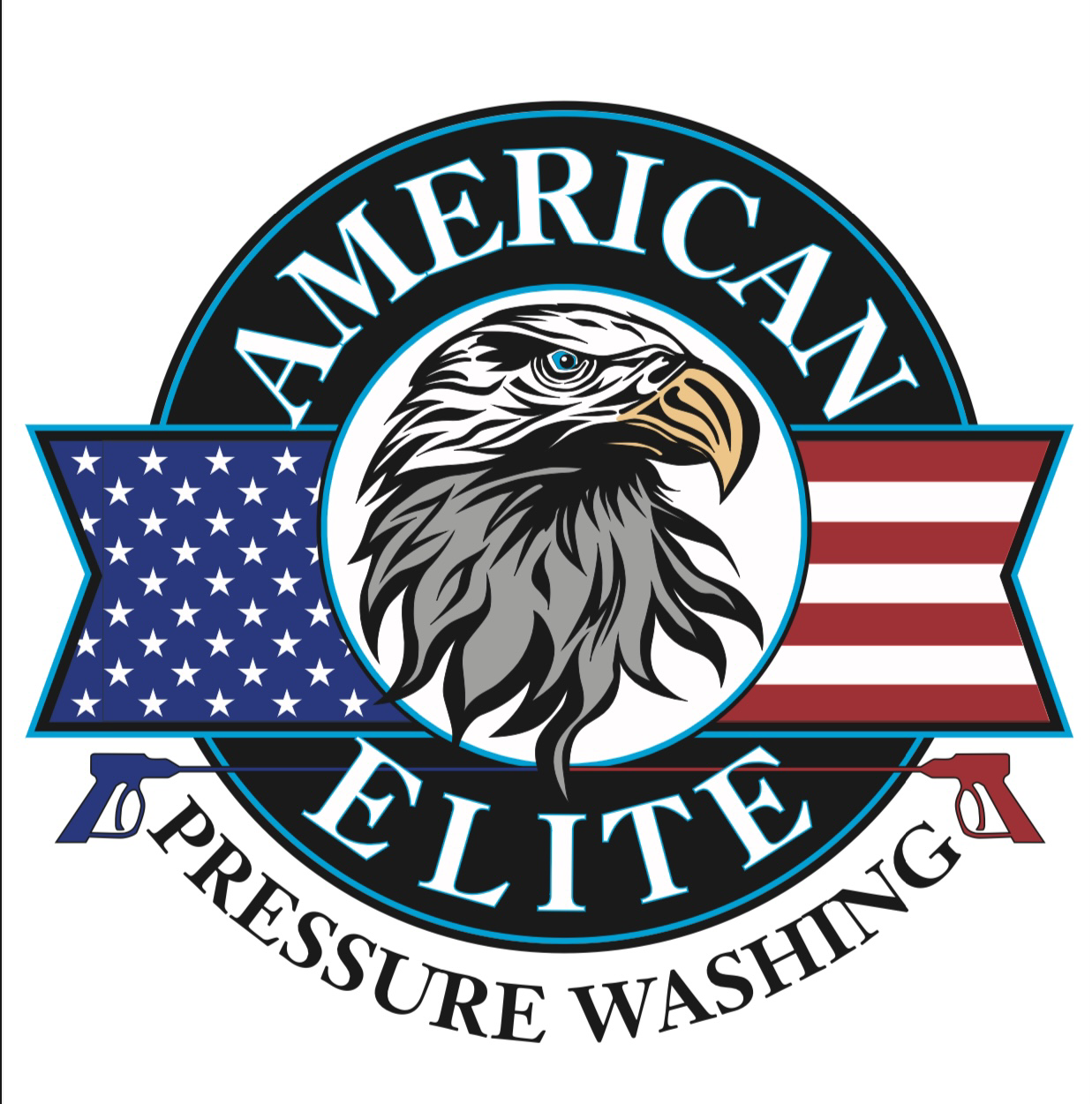 Avatar for American Elite Pressure Washing