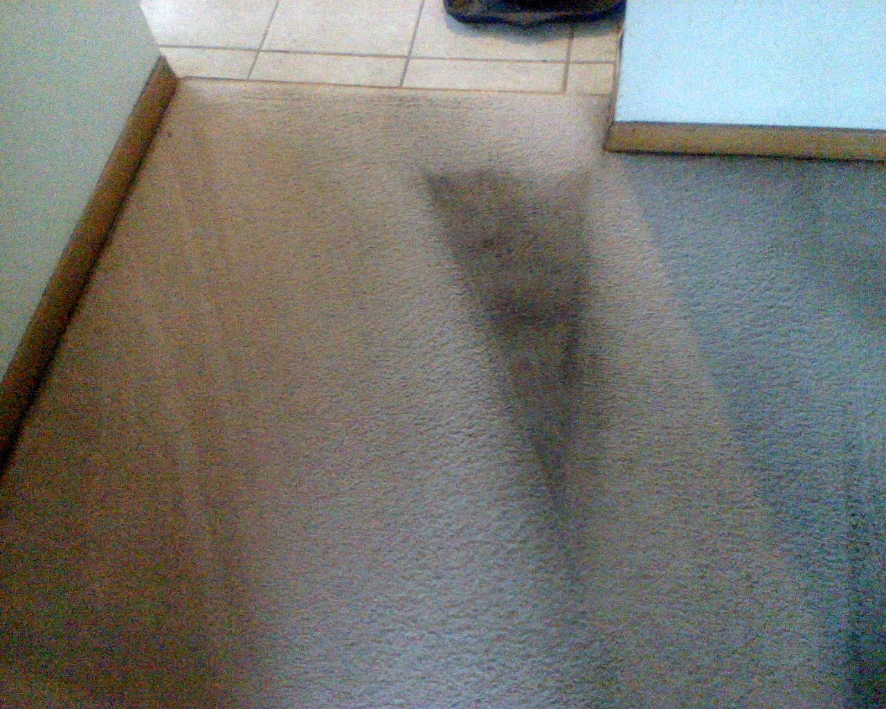 Avatar for Clean Sweep Carpet Cleaning